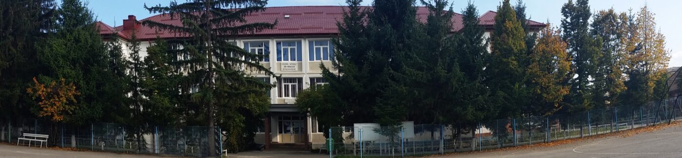 Colegiul Național „Gib Mihăescu”