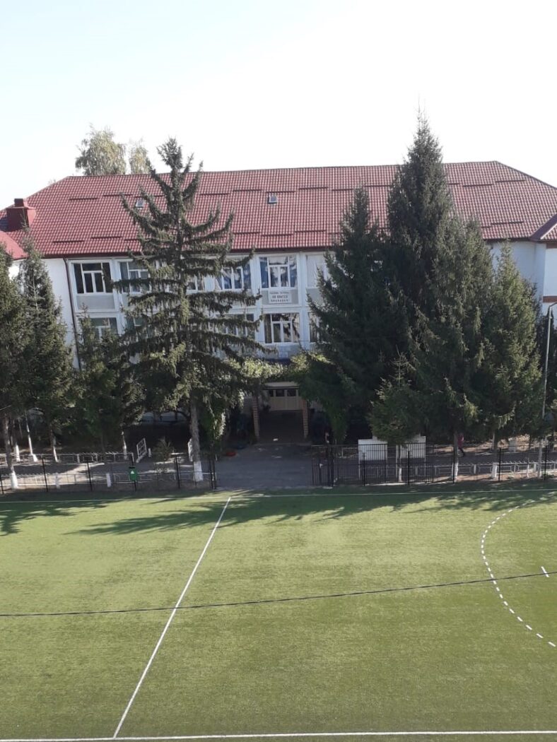 Colegiul Național „Gib Mihăescu”